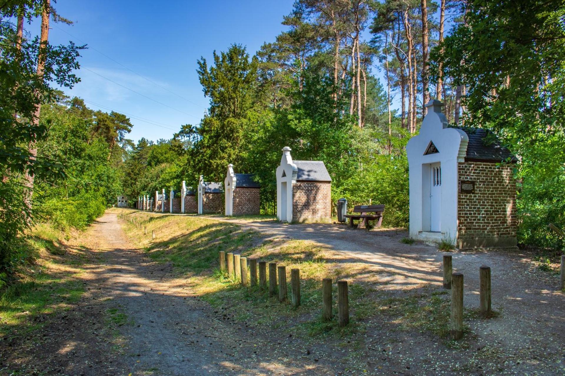 De Wilden Ezel Mol Exterior foto